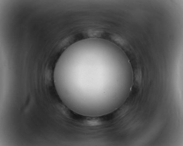 X0000086110667200703301238