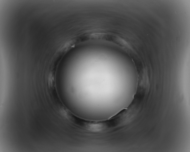 X0000086110669200703301238