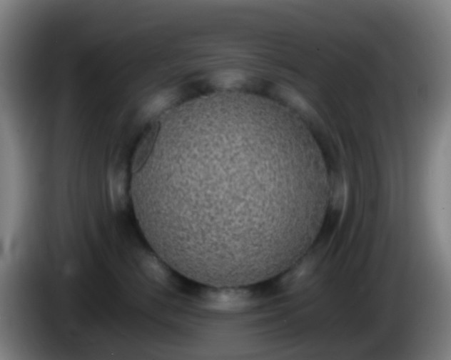 X0000086110670200703301238