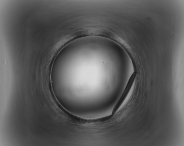 X0000086110673200703301237