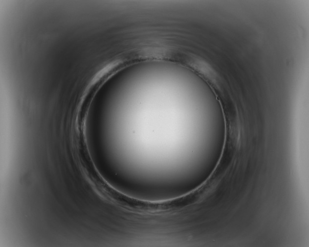 X0000086110674200703301237