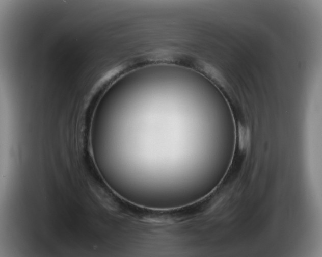 X0000086110675200703301237