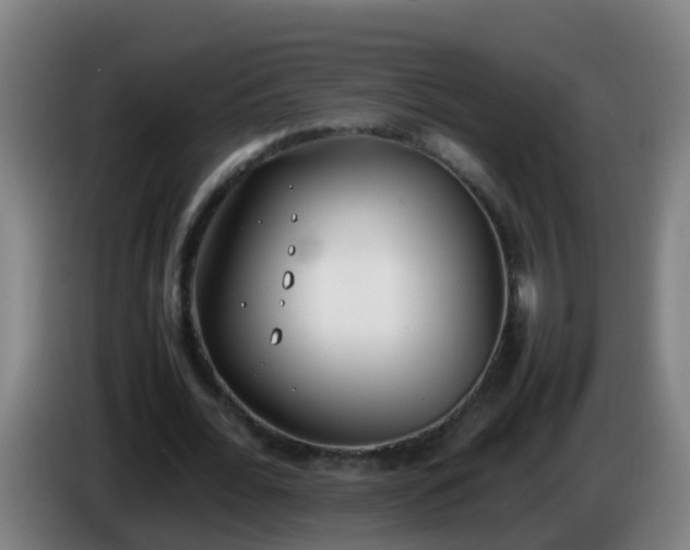 X0000086110676200703301237