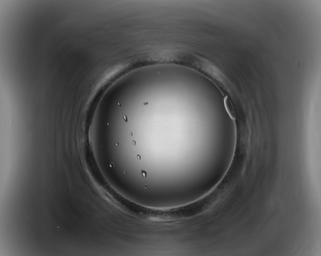 X0000086110677200703301237