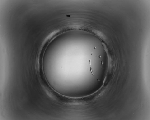 X0000086110678200703301237