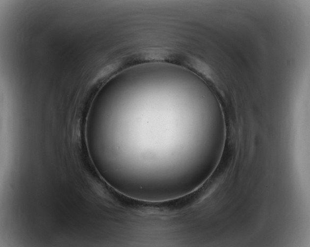 X0000086110681200703301237