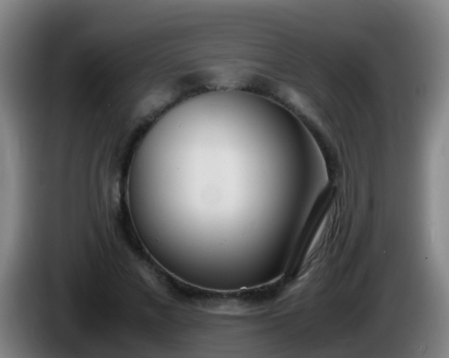 X0000086110685200703301237