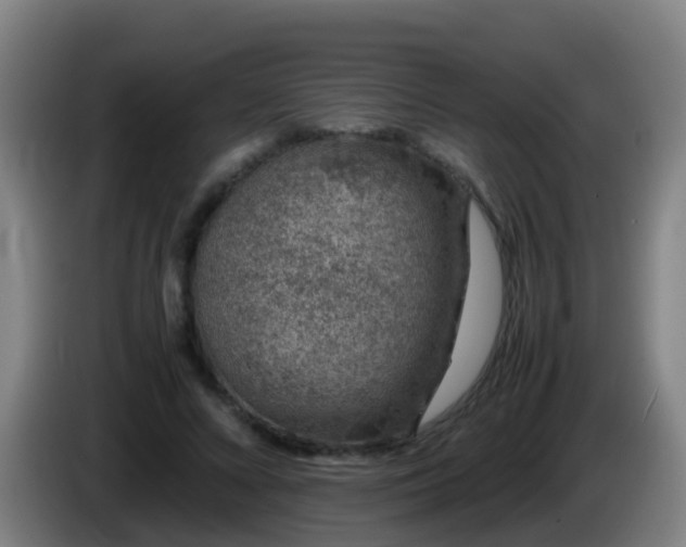 X0000086110688200703301237