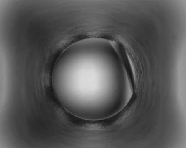 X0000086110689200703301237