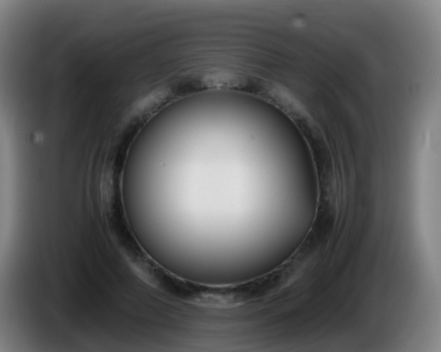 X0000086110690200703301237