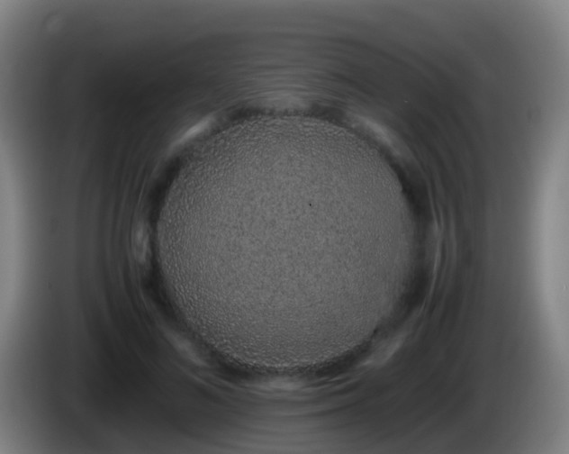 X0000086110692200703301237