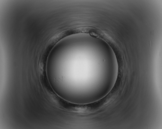 X0000086110693200703301237