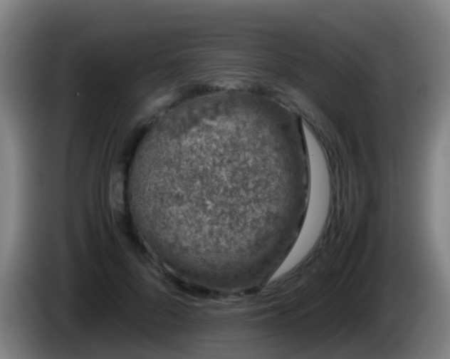 X0000086110696200703301237