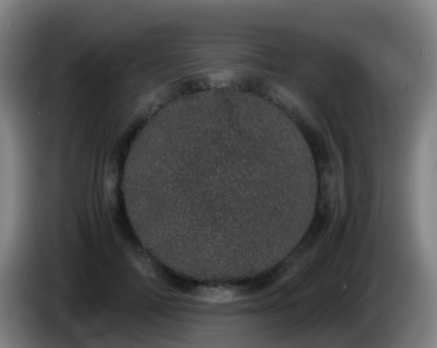 X0000086110698200703301237