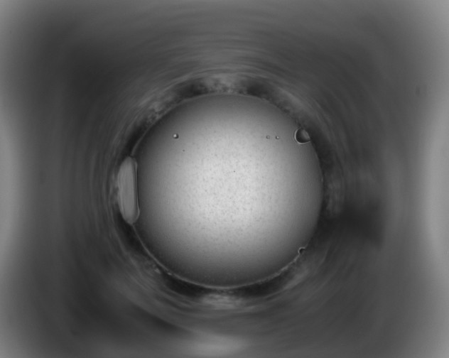 X0000086110699200703301237