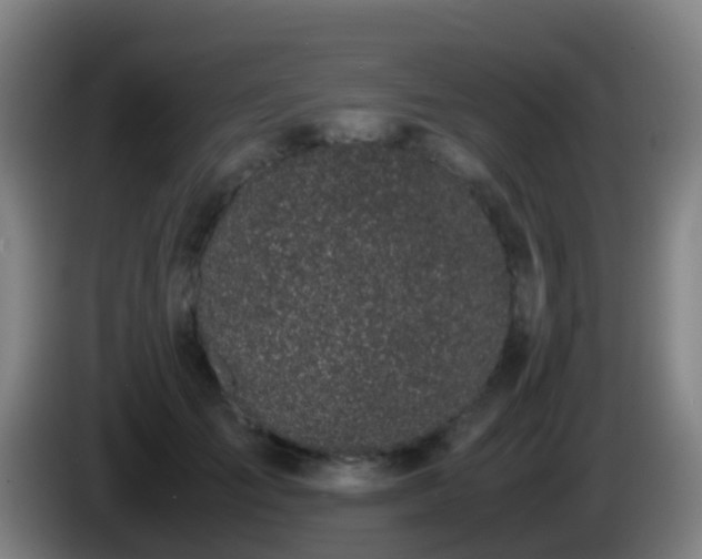 X0000086110701200703301237