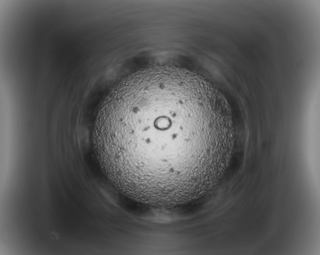 X0000086110703200703301237