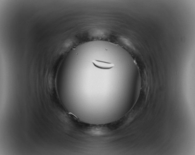 X0000086110708200703301237