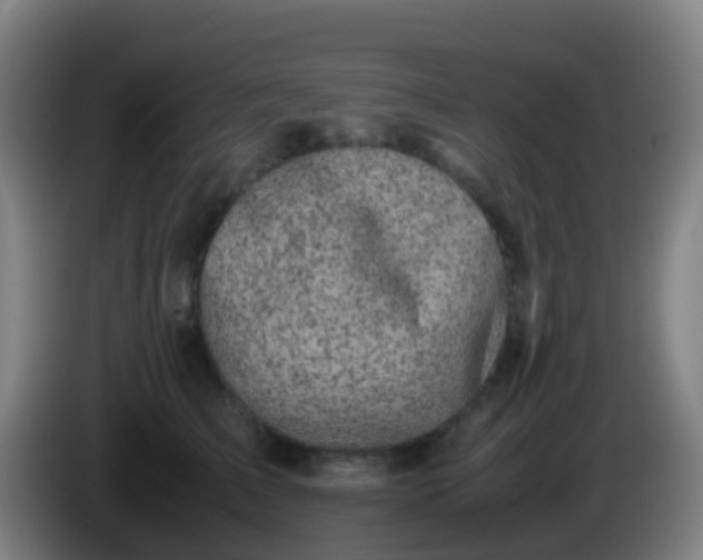 X0000086110709200703301237