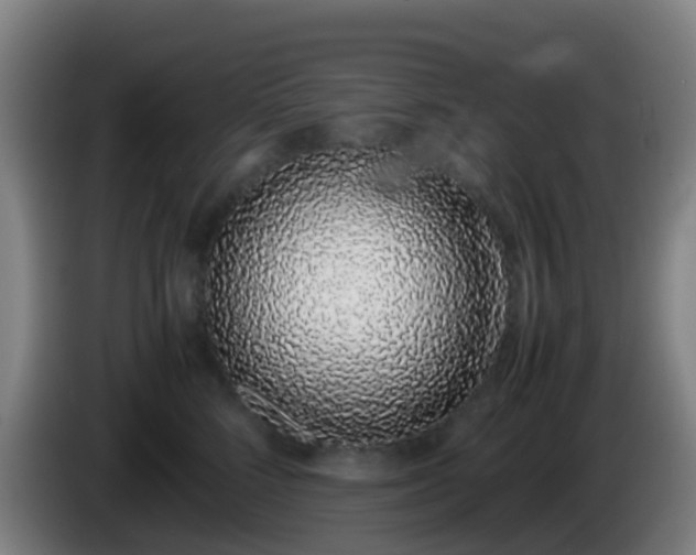 X0000086110712200703301237