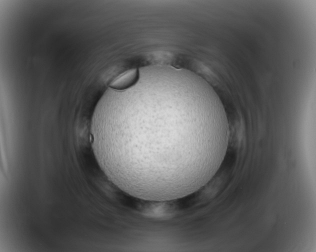 X0000086110717200703301237