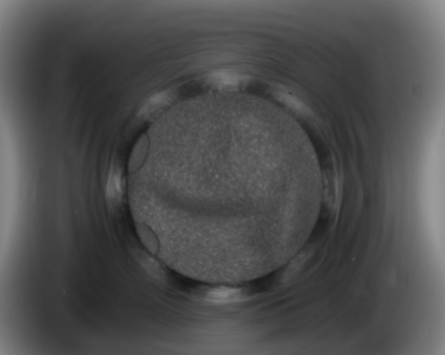 X0000086110718200703301237