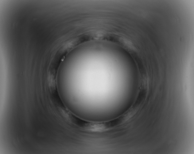 X0000086110719200703301237