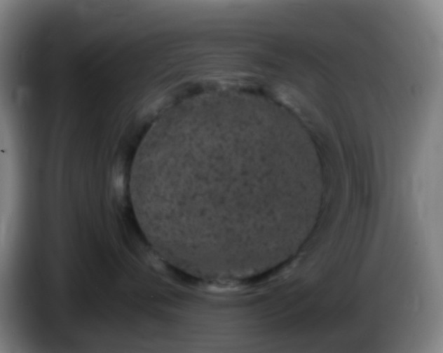 X0000086110720200703301237