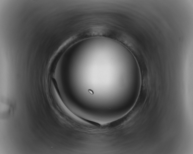 X0000086110722200703301236