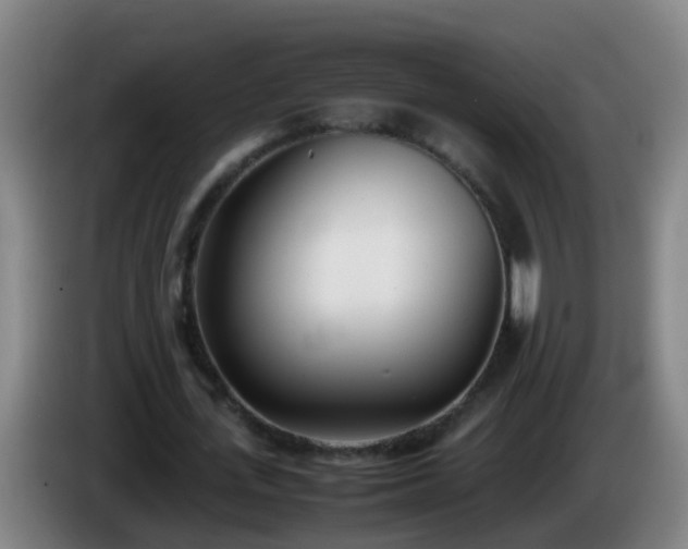 X0000086110723200703301236