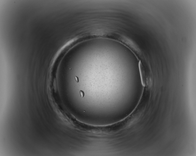 X0000086110724200703301236