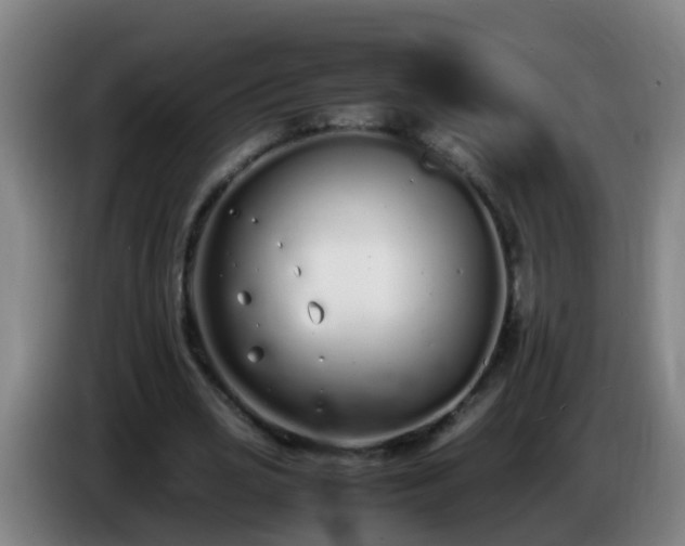 X0000086110725200703301236