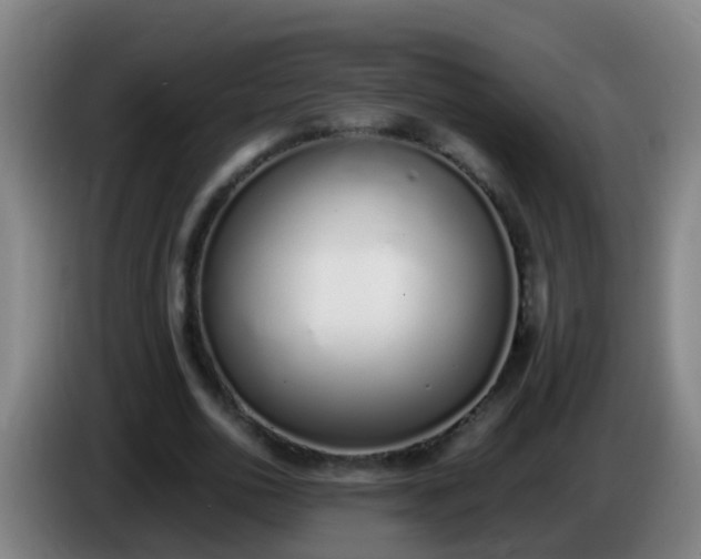 X0000086110726200703301236