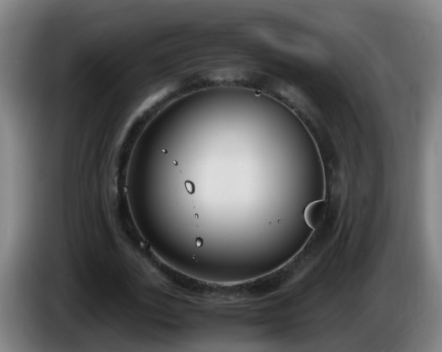 X0000086110727200703301236