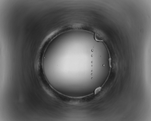 X0000086110728200703301236