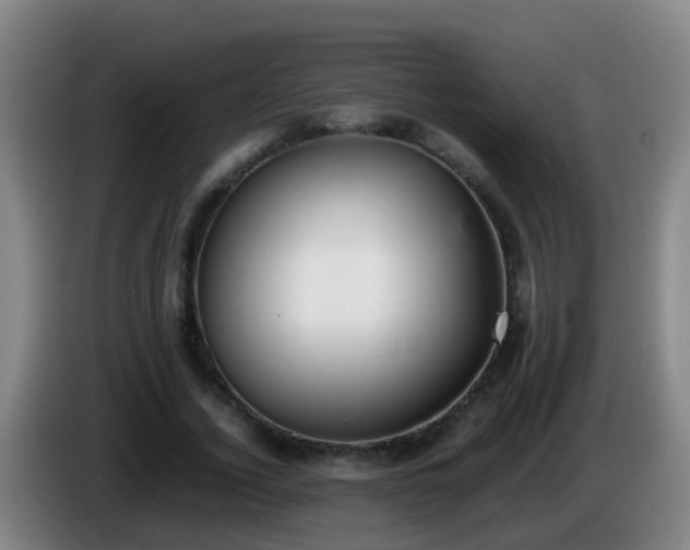 X0000086110732200703301236