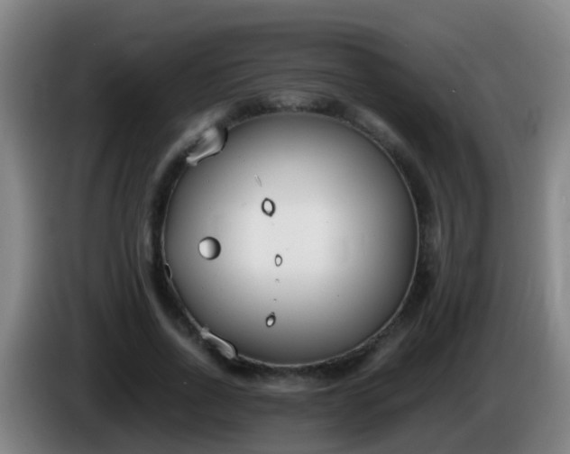 X0000086110734200703301236