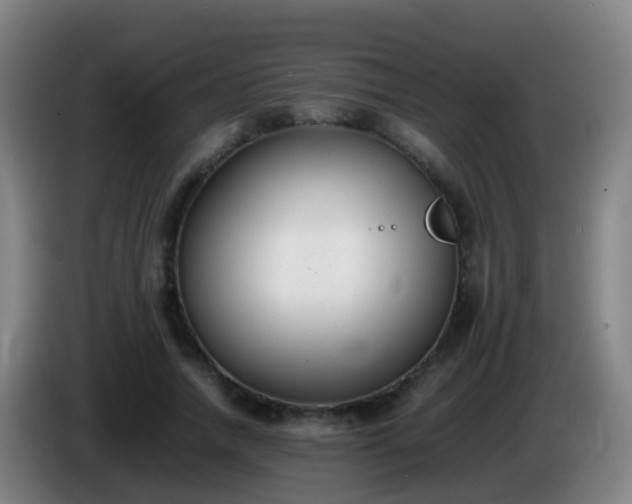 X0000086110738200703301236