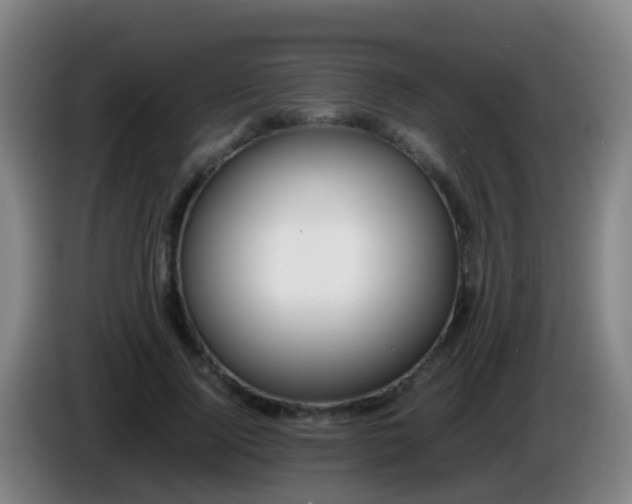 X0000086110740200703301236