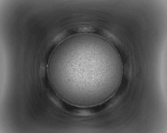 X0000086110741200703301236