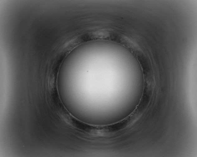 X0000086110745200703301236