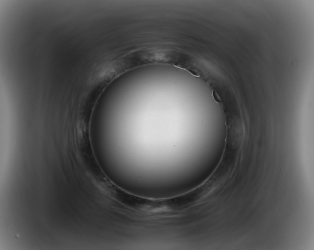 X0000086110747200703301236