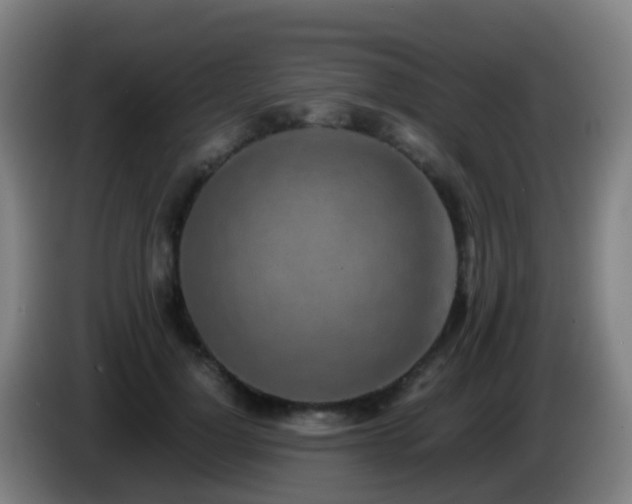 X0000086110748200703301236