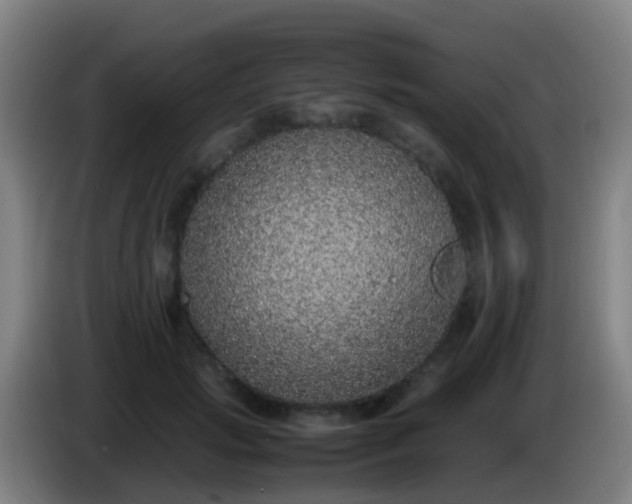 X0000086110749200703301236