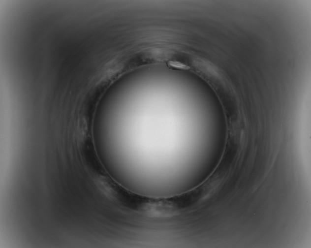 X0000086110752200703301236