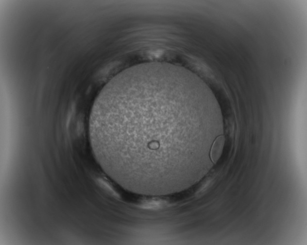 X0000086110754200703301236