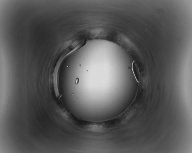 X0000086110756200703301236