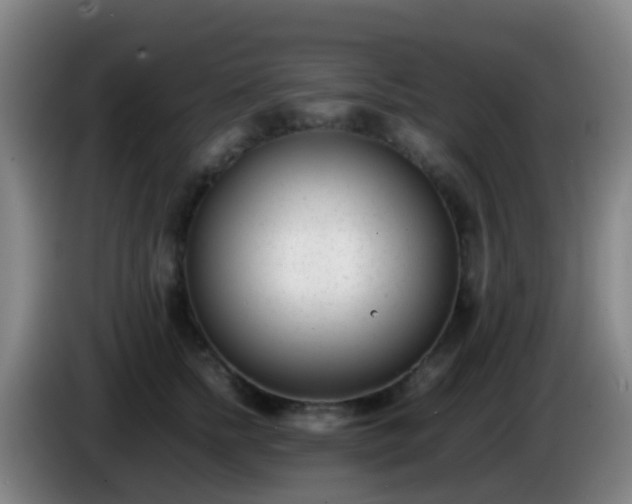 X0000086110758200703301236