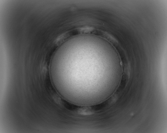 X0000086110761200703301236