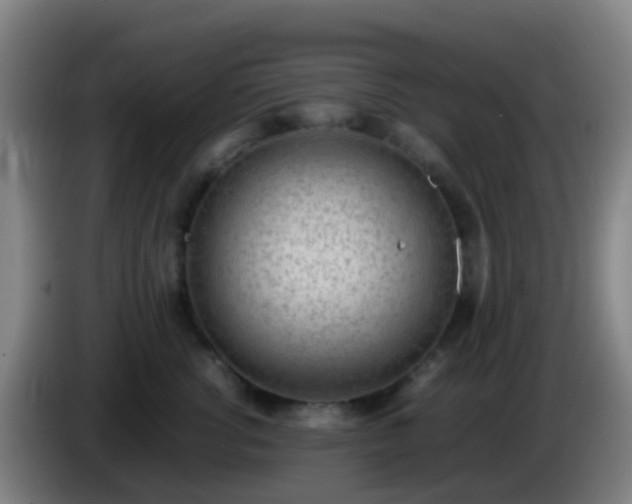 X0000086110762200703301236